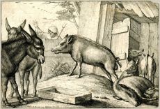 Vepři a osli, 1652