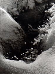 Zima v Lánské oboře, 60. léta 20. století