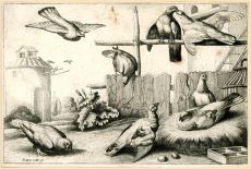 Eight doves, 1625-77