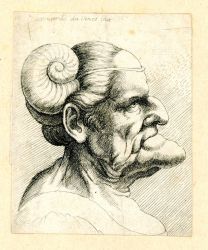 Groteskní hlava, 1645